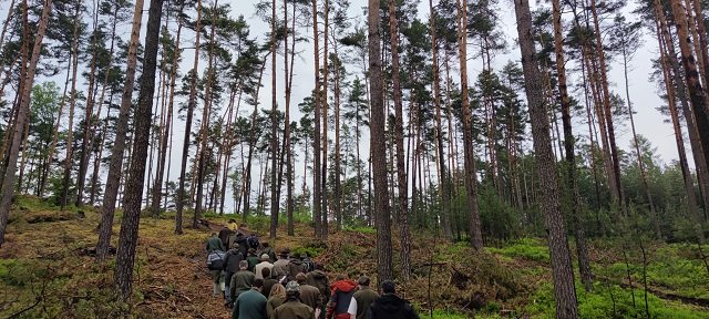 Alternativní obnovní postupy u hlavních hospodářských dřevin ČR